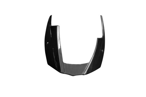 Carbon bugspoiler für triumph - bugspoiler,