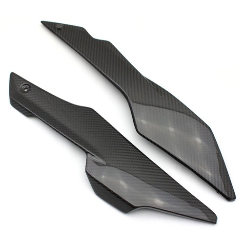 Carbon bugspoiler für triumph - bugspoiler,