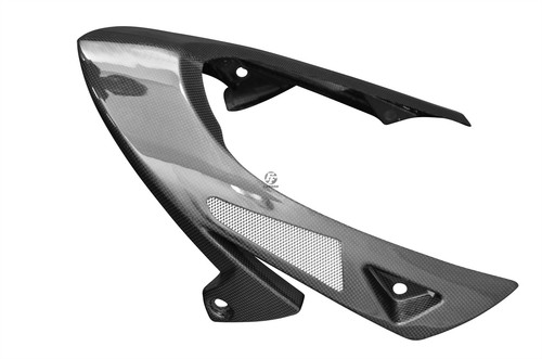Carbon bugspoiler für triumph - bugspoiler,
